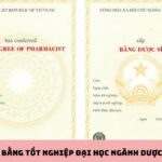 dược sĩ có phải bằng đại học không