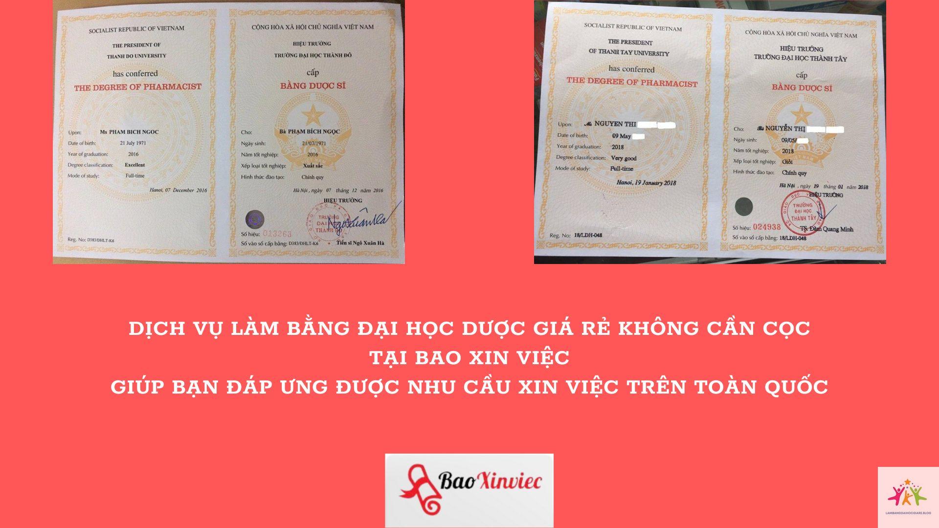 dược sĩ có phải bằng đại học không - Hình 3