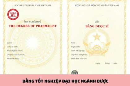 dược sĩ có phải bằng đại học không