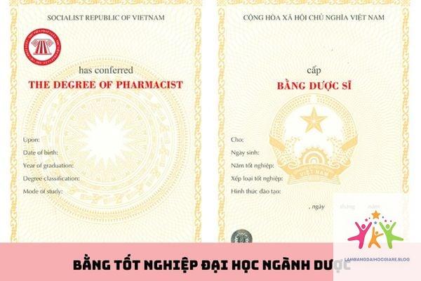 dược sĩ có phải bằng đại học không - Hình 1