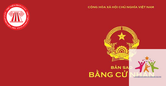 giá trị bản sao bằng đại học - Hình 4
