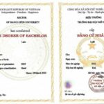 hệ đại học chính quy là gì