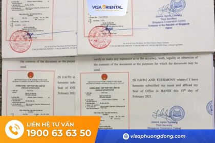 hợp pháp hóa bằng đại học ra sao