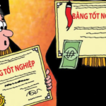 làm giả bằng đại học bị xử lý thế nào