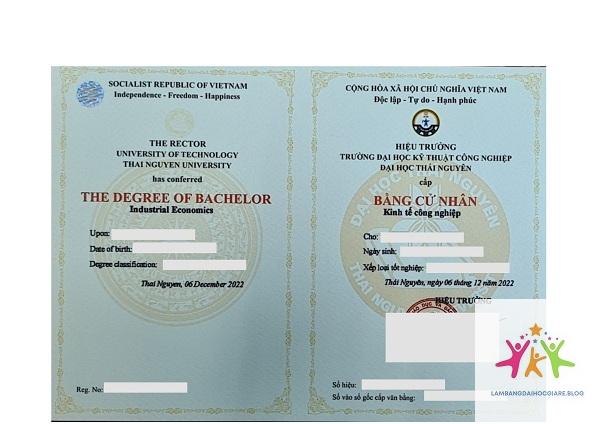 mẫu bằng đại học hiện nay - Hình 5