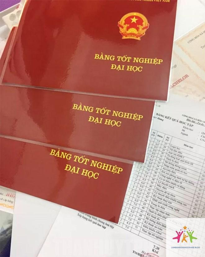 nhận bằng đại học cần gì - Hình 4