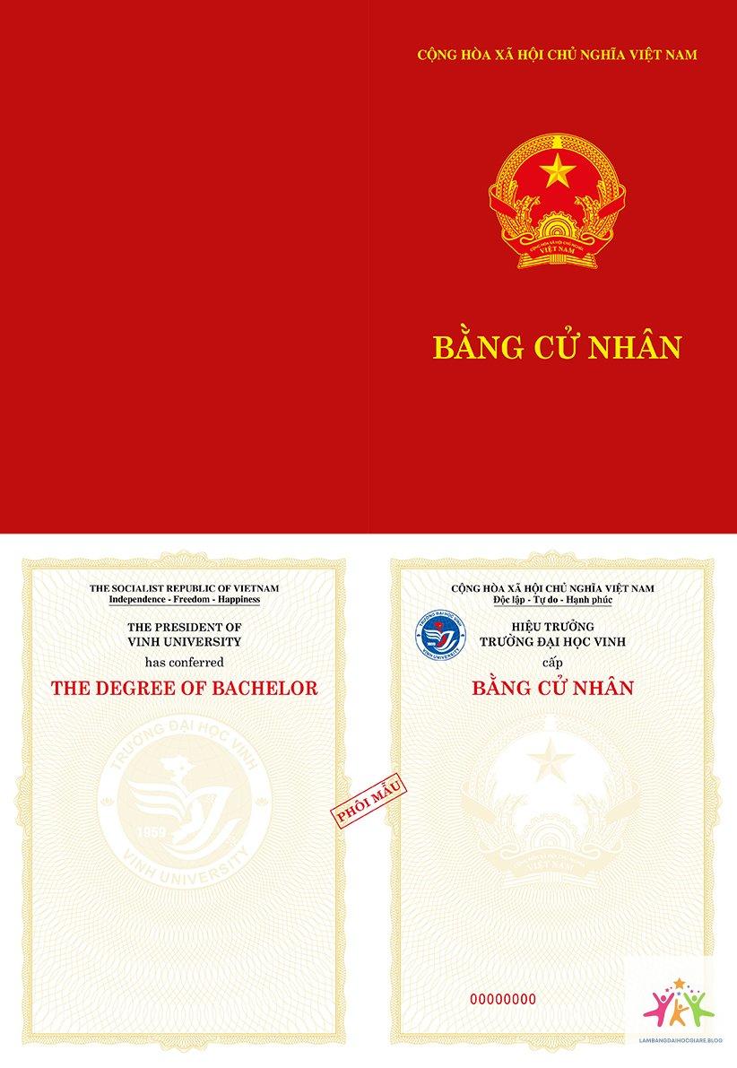 những sự thật về bằng đại học - Hình 4
