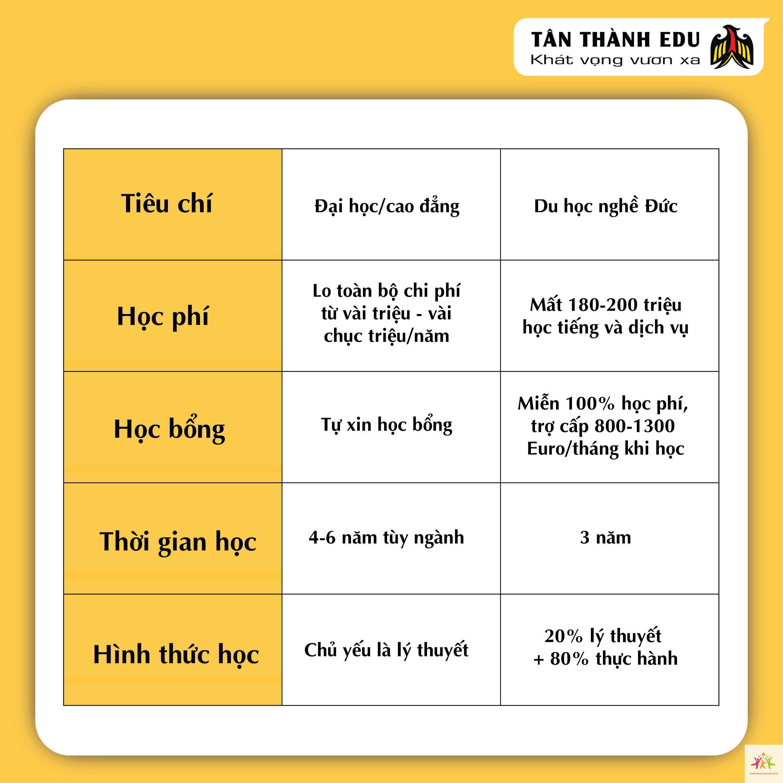 so sánh đại học và chứng chỉ nghề - Hình 2