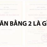 văn bằng 2 đại học là gì