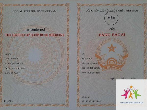 văn bằng đại học và bằng nghề khác nhau gì - Hình 3