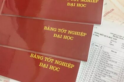 văn bằng đại học và thạc sĩ khác nhau gì