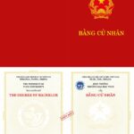 ý nghĩa của bằng đại học
